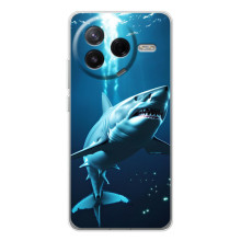 Чехол с картинкой «Хищники» для Xiaomi Civi 4Pro – Акула
