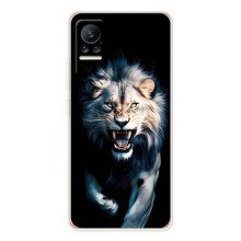 Чехол с картинкой «Хищники» для Xiaomi Civi – Лев