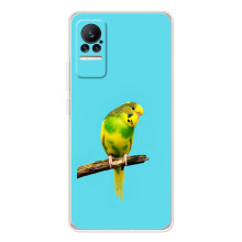 Силиконовый чехол с птичкой на Xiaomi Civi (Попугайчик)