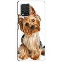 Чехол (ТПУ) Милые собачки для Xiaomi Mi 10 Lite (Собака Терьер)