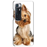 Чехол (ТПУ) Милые собачки для Xiaomi Mi 10 Ultra – Собака Терьер