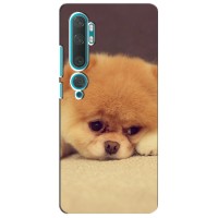 Чехол (ТПУ) Милые собачки для Xiaomi Mi 10 (Померанский шпиц)