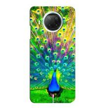 Чохол з пташками на Xiaomi Mi 10i (VPrint) (Яскравий Павлин)