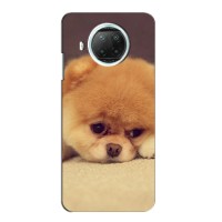 Чехол (ТПУ) Милые собачки для Xiaomi Mi 10i (Померанский шпиц)