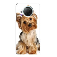 Чехол (ТПУ) Милые собачки для Xiaomi Mi 10i – Собака Терьер