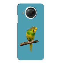 Силіконовий бампер з птичкою на Xiaomi Mi 10i – Попугайчик