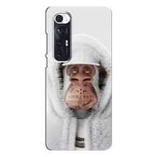 Чехлы с Обезьянами NFT для Xiaomi Mi 10s (AlphaPrint) (обезьяна NFT в тату)