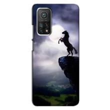 Чохли з зображенням різних тварин на Xiaomi Mi 10T Pro (Кінь)