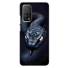 Чехол с картинкой «Хищники» для Xiaomi Mi 10T Pro – Змея