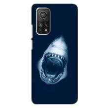 Силіконовий бампер з картинкою звірів для Xiaomi Mi 10T Pro (Пащу Акули)