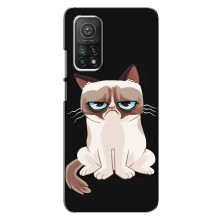 Чехол на тематику: Коты для Xiaomi Mi 10T – Взгляд кота