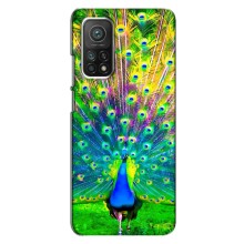 Чехол с птицами на Xiaomi Mi 10T (VPrint) (Яркий Павлин)
