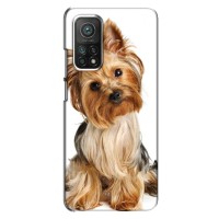 Чехол (ТПУ) Милые собачки для Xiaomi Mi 10T – Собака Терьер