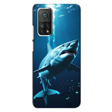 Чехол с картинкой «Хищники» для Xiaomi Mi 10T – Акула