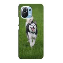 Чехол с Хаски для Xiaomi Mi 11 Lite - (AlphaPrint) (Радостный Хаски)