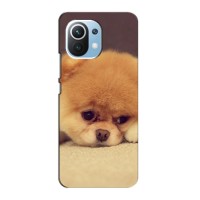 Чехол (ТПУ) Милые собачки для Xiaomi Mi 11 Lite (Померанский шпиц)