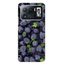 Чехлы с Фруктами для Xiaomi Mi 11 Ultra (VPrint) (Ежевика)