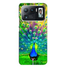 Чехол с птицами на Xiaomi Mi 11 Ultra (VPrint) (Яркий Павлин)