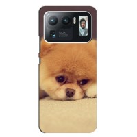 Чехол (ТПУ) Милые собачки для Xiaomi Mi 11 Ultra (Померанский шпиц)
