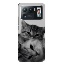 Чехол с рисунком кот на Xiaomi Mi 11 Ultra (Пара котов)
