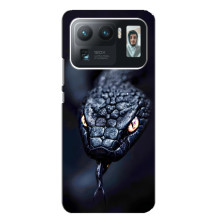 Чехол с картинкой «Хищники» для Xiaomi Mi 11 Ultra – Змея