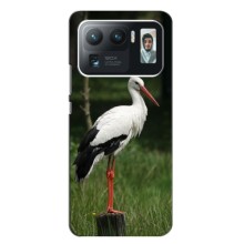 Силиконовый чехол с птичкой на Xiaomi Mi 11 Ultra – Лелека