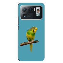 Силиконовый чехол с птичкой на Xiaomi Mi 11 Ultra – Попугайчик