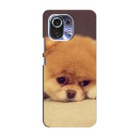 Чехол (ТПУ) Милые собачки для Xiaomi Mi 11 (Померанский шпиц)