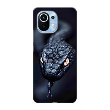 Чехол с картинкой «Хищники» для Xiaomi Mi 11 (Змея)