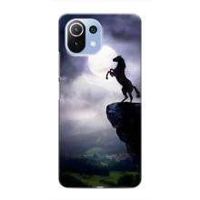 Чохли з зображенням різних тварин на Xiaomi Mi 11i (Кінь)