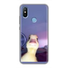 Бампер с принтом Мемы для Xiaomi Mi6X – Утка