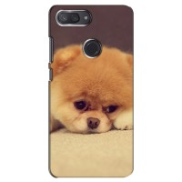 Чехол (ТПУ) Милые собачки для Xiaomi Mi 8 Lite (Померанский шпиц)