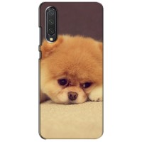 Чехол (ТПУ) Милые собачки для Xiaomi Mi 9 Lite – Померанский шпиц