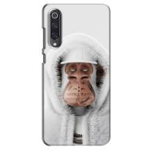 Чехлы с Обезьянами NFT для Xiaomi Mi 9 SE (AlphaPrint) (обезьяна NFT в тату)