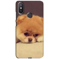 Чехол (ТПУ) Милые собачки для Xiaomi Mi A2 Lite (Померанский шпиц)