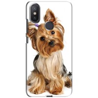 Чехол (ТПУ) Милые собачки для Xiaomi Mi A2 Lite – Собака Терьер