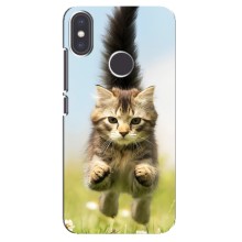 Чехлы с Котиками для Xiaomi Mi A2 (VPrint) (Прыжок кота)