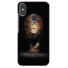 Чехол со Львом для Xiaomi Mi A2 (VPrint) (Лев)