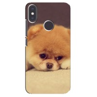 Чехол (ТПУ) Милые собачки для Xiaomi Mi A2 (Померанский шпиц)