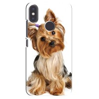 Чехол (ТПУ) Милые собачки для Xiaomi Mi A2 – Собака Терьер