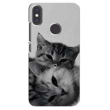 Чехол с рисунком кот на Xiaomi Mi A2 – Пара котов