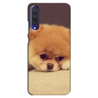 Чехол (ТПУ) Милые собачки для Xiaomi Mi A3 (Померанский шпиц)