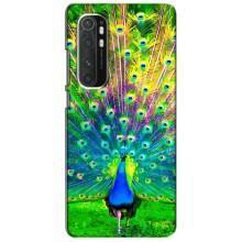 Чохол з пташками на Xiaomi Mi Note 10 Lite (VPrint) (Яскравий Павлин)