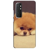 Чехол (ТПУ) Милые собачки для Xiaomi Mi Note 10 Lite (Померанский шпиц)