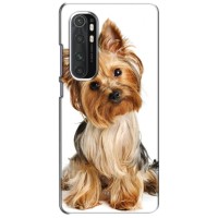 Чехол (ТПУ) Милые собачки для Xiaomi Mi Note 10 Lite – Собака Терьер