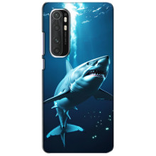 Чехол с картинкой «Хищники» для Xiaomi Mi Note 10 Lite – Акула
