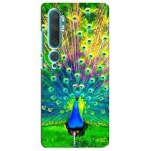 Чехол с птицами на Xiaomi Mi Note 10 (VPrint)