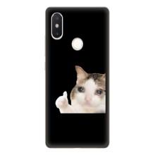 Бампер с принтом Мемы для Xiaomi Mi8 Special Edition – Кот в слезах