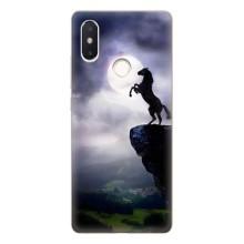 Чехлы с изображением разных животных для Xiaomi Mi8 Special Edition (Лошадь)