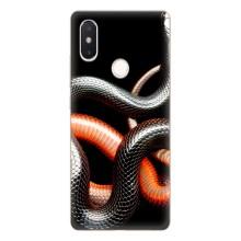 Чехлы с изображением разных животных для Xiaomi Mi8 Special Edition (Змея)